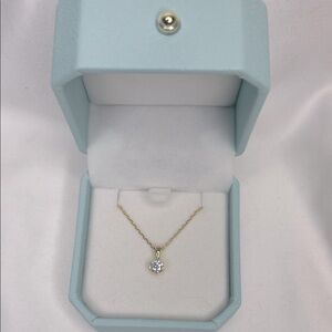 Moissanite .5 Carat Gold over S925 Necklace with GRA NWT